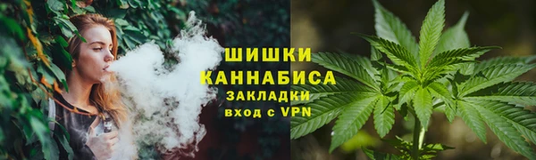сатива Наволоки