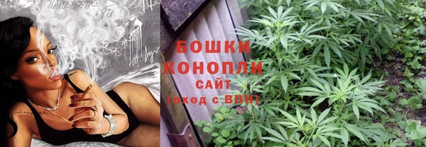 сатива Наволоки
