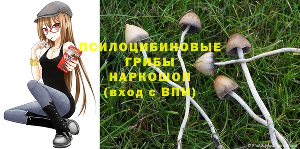 сатива Наволоки