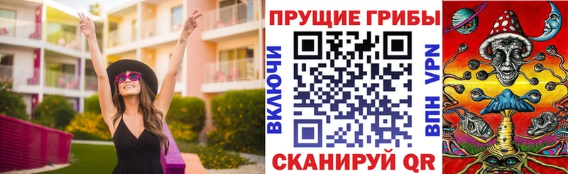как найти   ОМГ ОМГ зеркало  Галлюциногенные грибы Magic Shrooms  Чухлома 