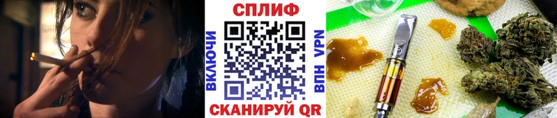 наркота  Чухлома  мориарти клад  Канабис Amnesia 